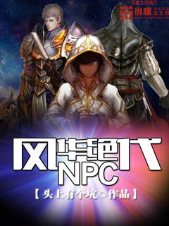 风华绝代NPC