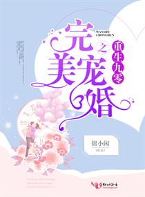 重生九零之完美宠婚